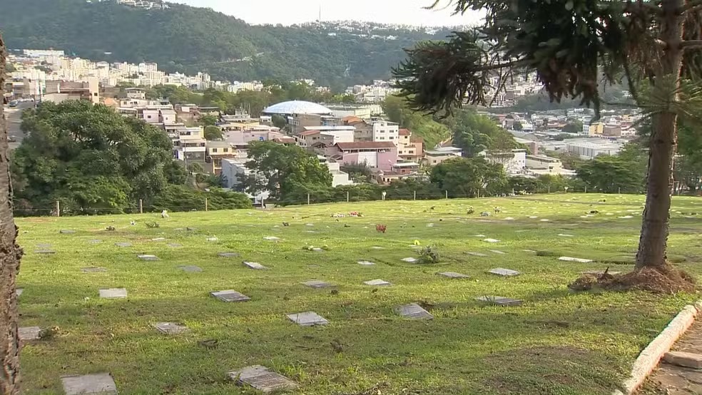 Cães e gatos poderão ser enterrados em jazigos da família em Juiz de Fora